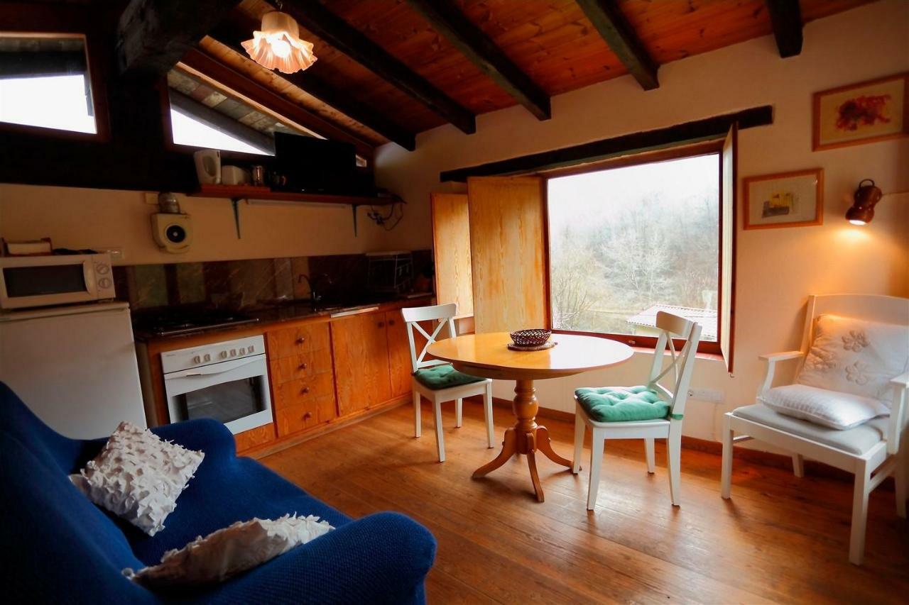 La Cabana del Molí de la Plana Riudaura Exterior foto