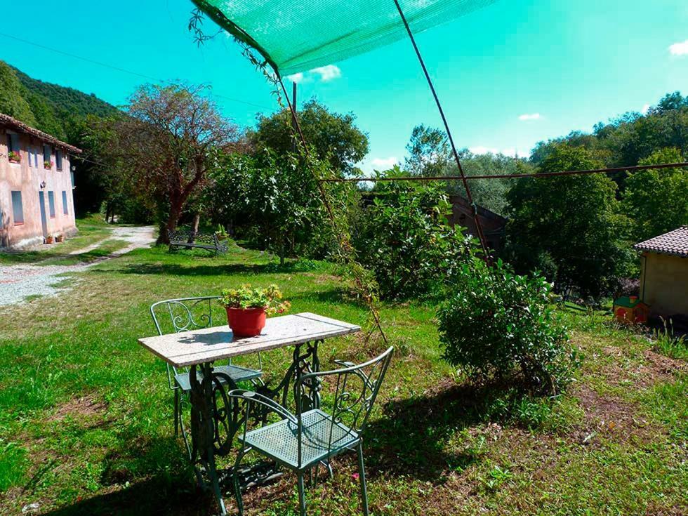 La Cabana del Molí de la Plana Riudaura Exterior foto